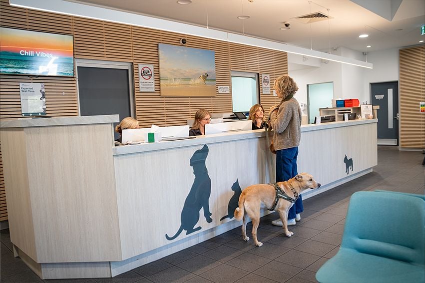 On The Way To Hospital