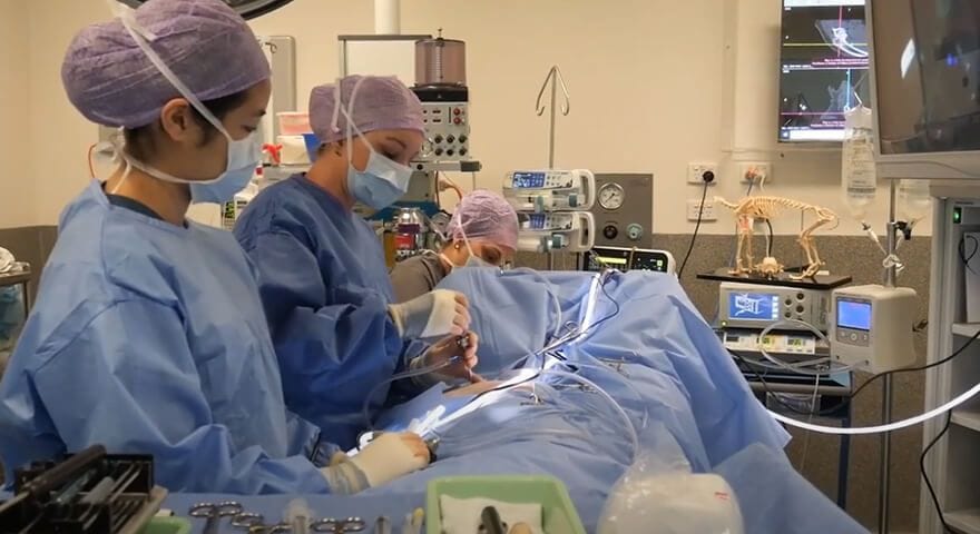 Laparoscopic Surgery