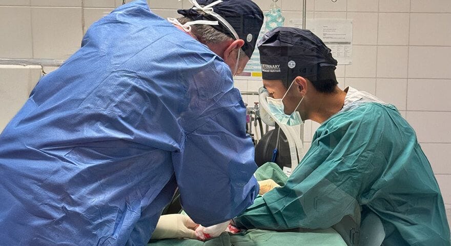 Mobile Surgery
