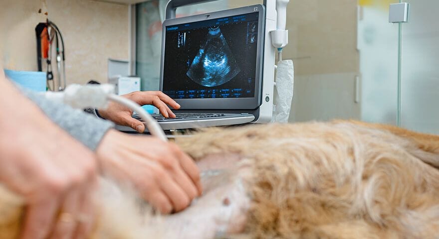 Outpatient Ultrasound