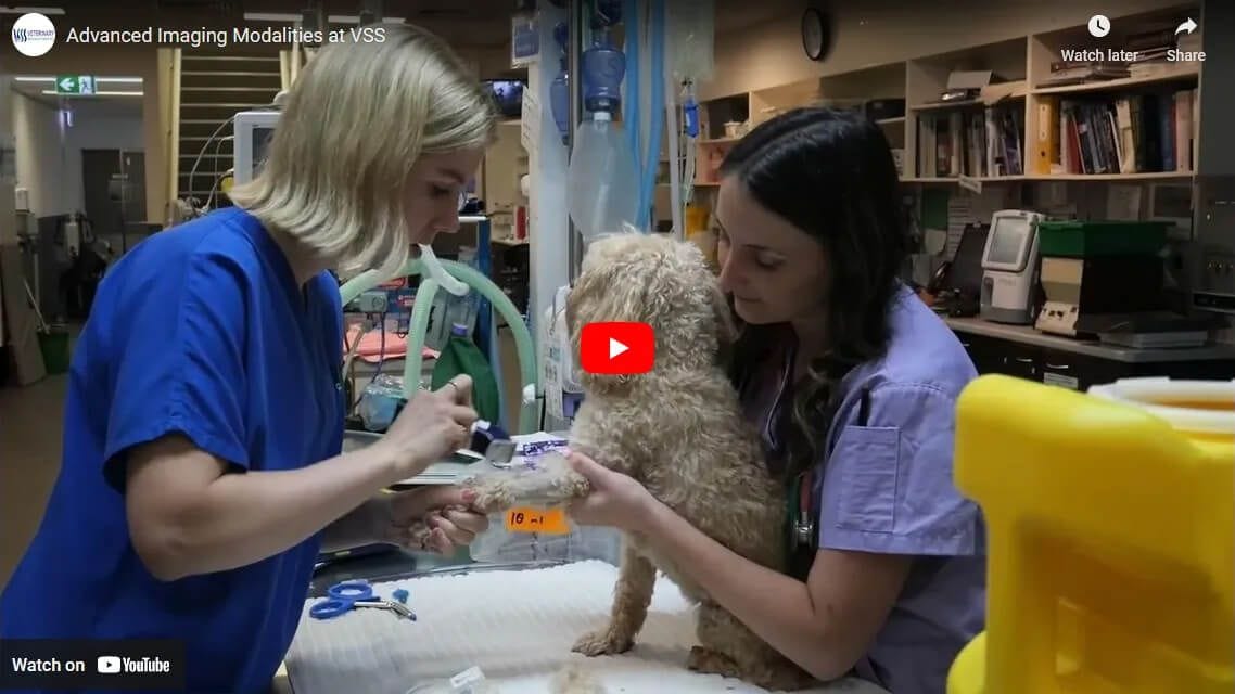 Spinal Disease Patient Treatment at VSS