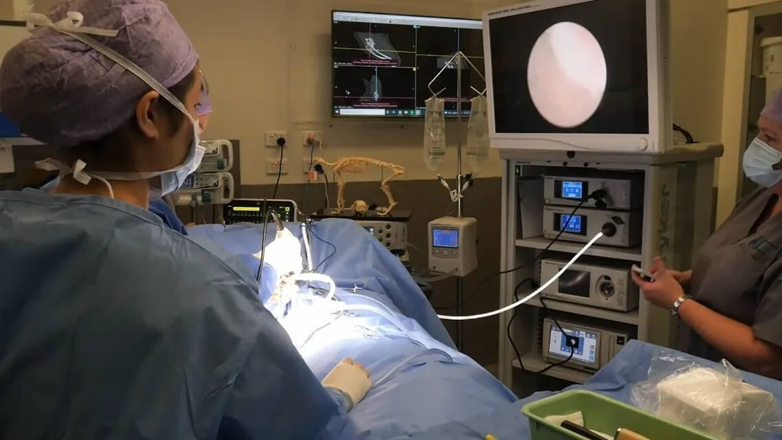 Spinal Disease Patient Treatment at VSS