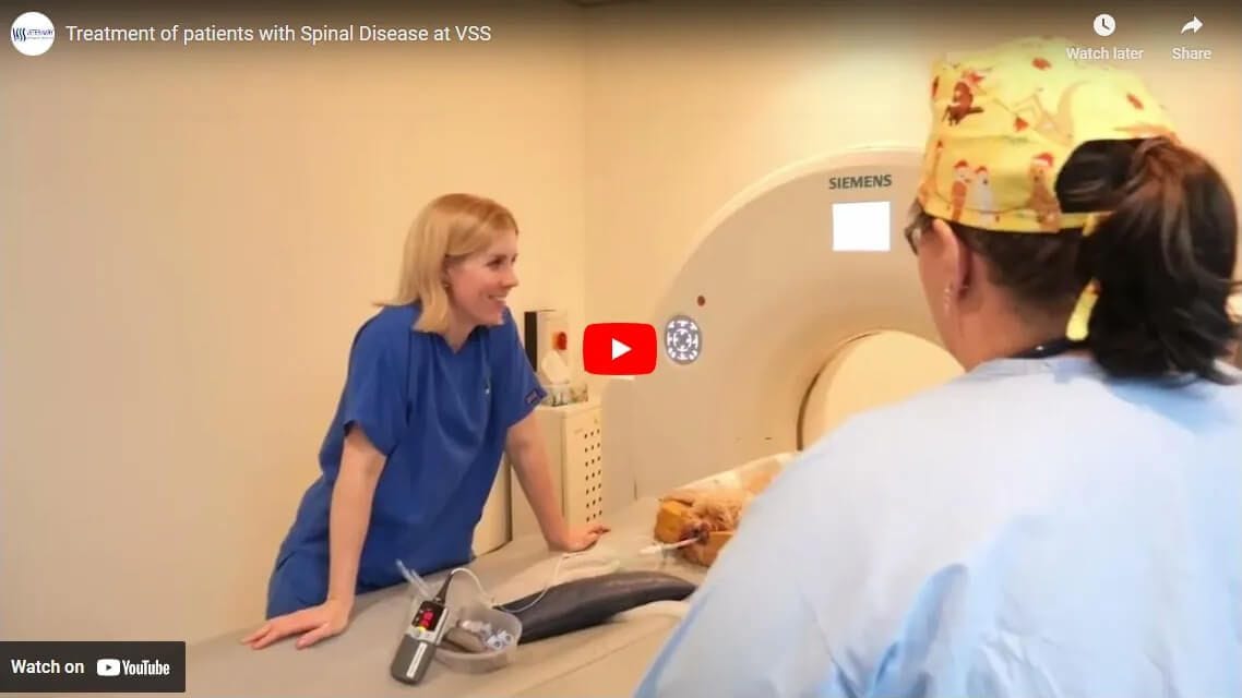 Spinal Disease Patient Treatment at VSS