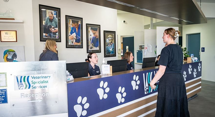 Flexible payment options and Insurance for vet care