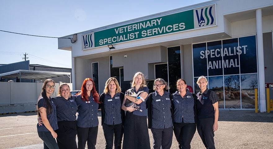 Located centrally in Carrara