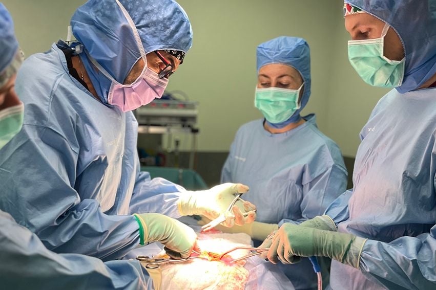 Cruciate Ligament (TPLO) & Patella Luxation (MPL)