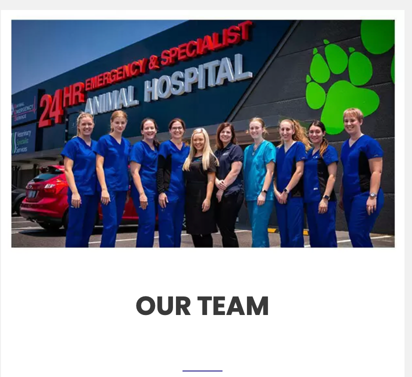 Jindalee Vet Clinic | Veterinary Specialist Services