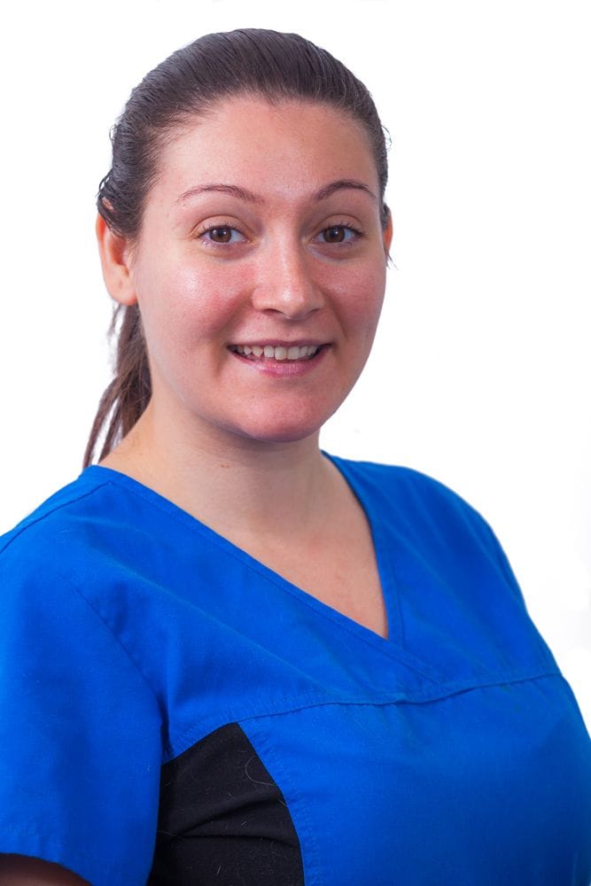 Dr Rachel Korman | Feline Medicine | Veterinary Specialist Services | Cat Vet Brisbane