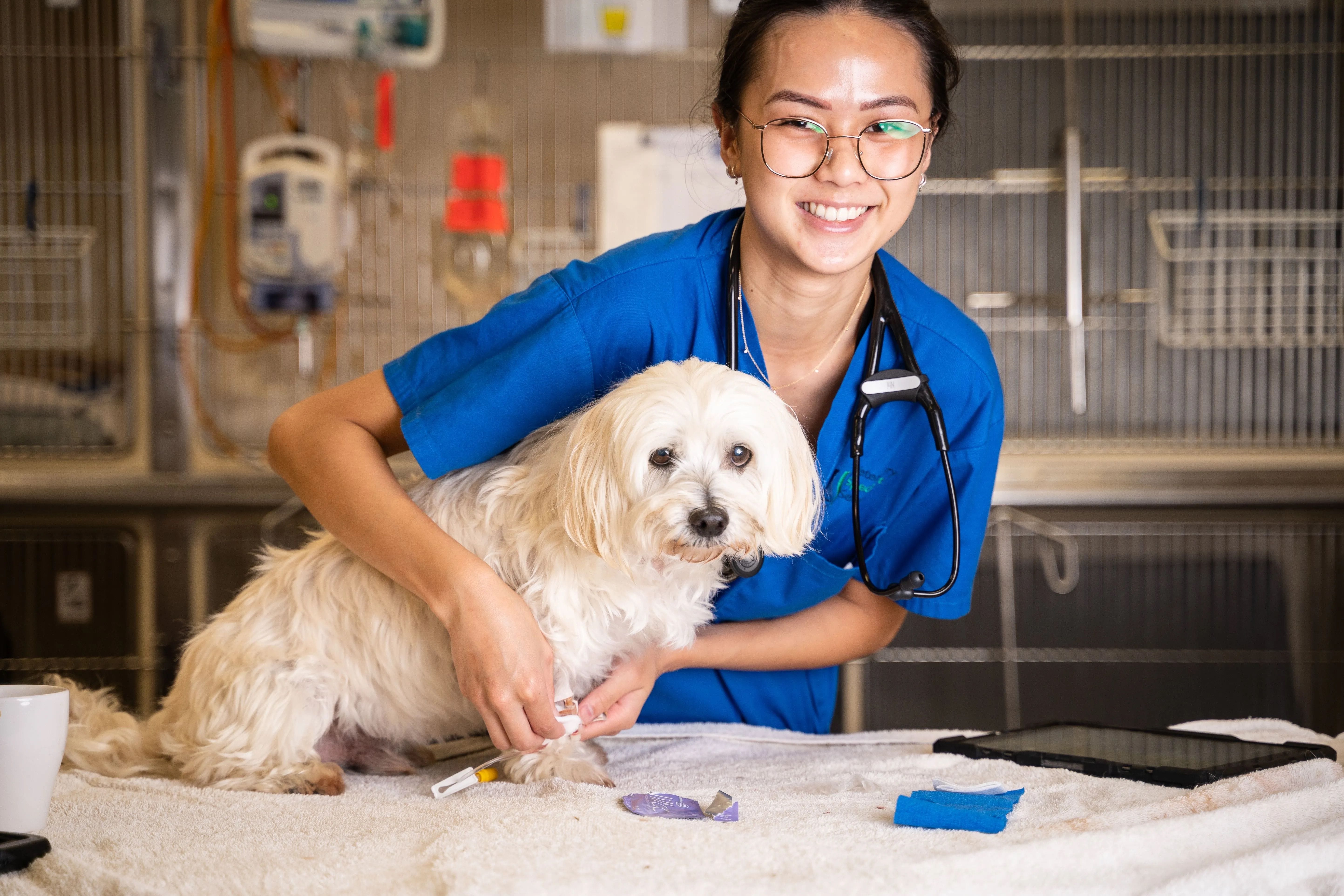 Veterinary Nurse Underwood