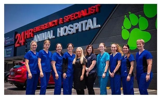 Veterinary Specialist Services Team