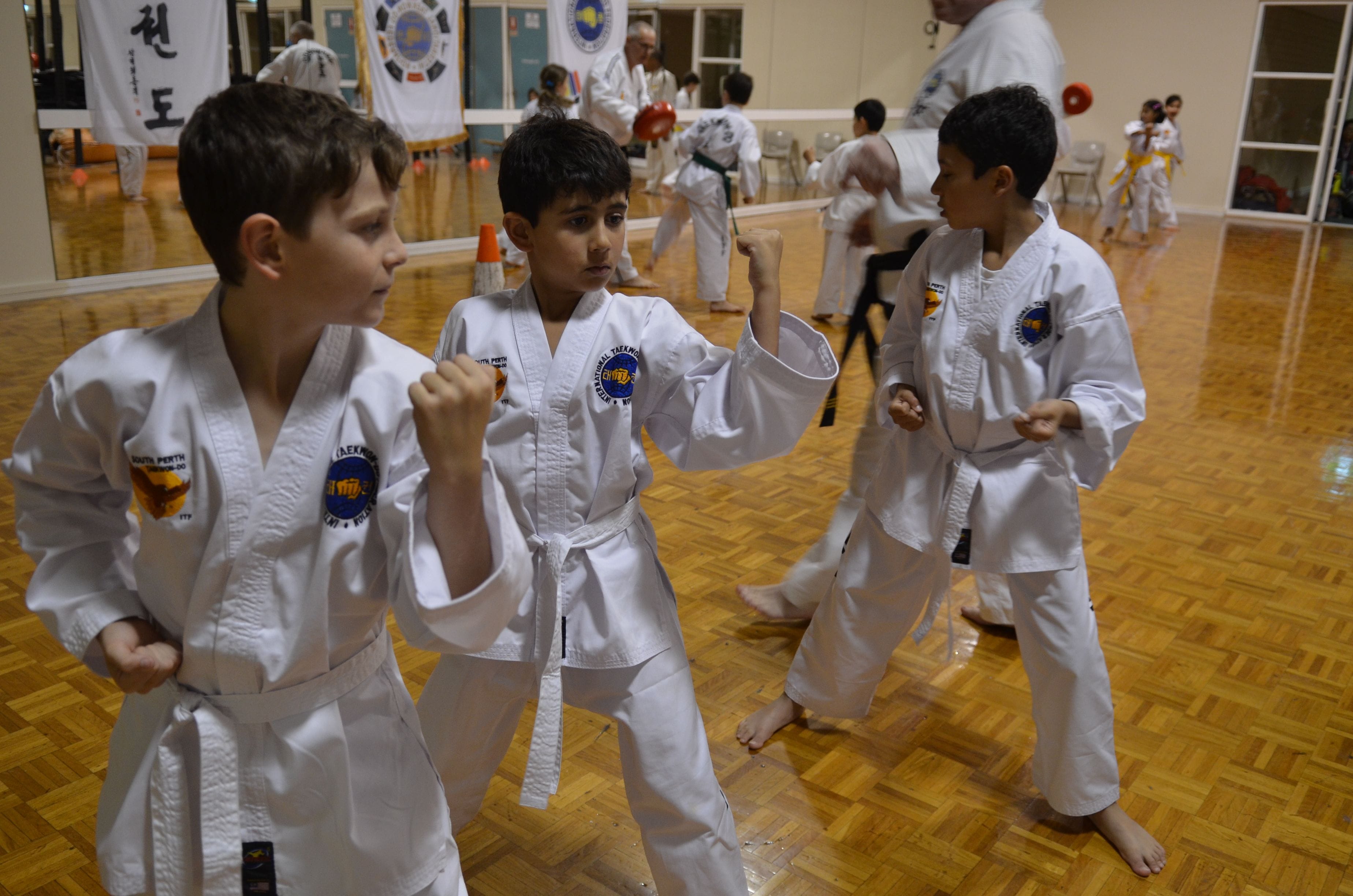 Kids Martial Arts and Self Defense Classes