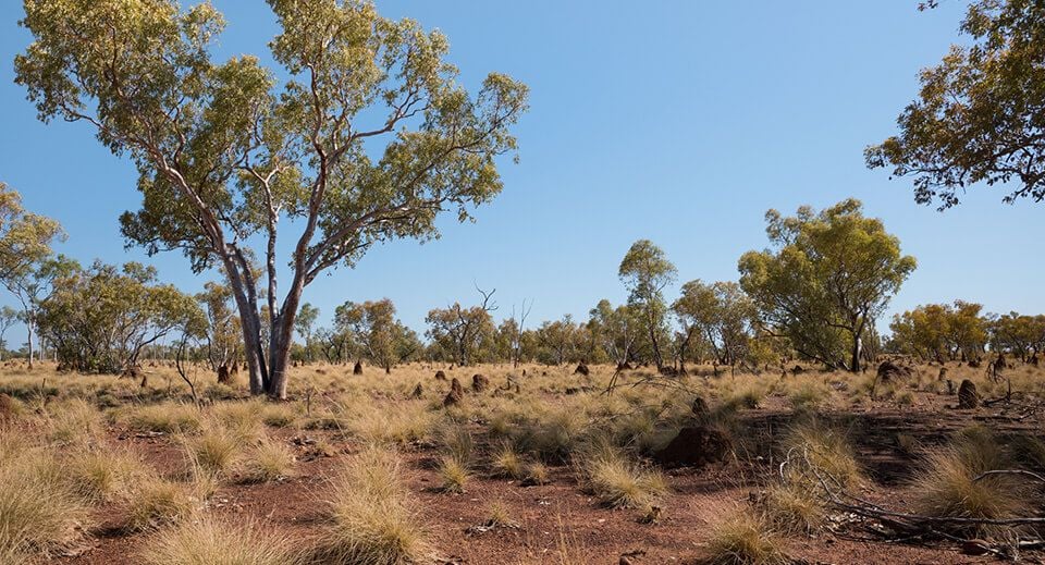 Do you have a project requiring flora and vegetation surveys?