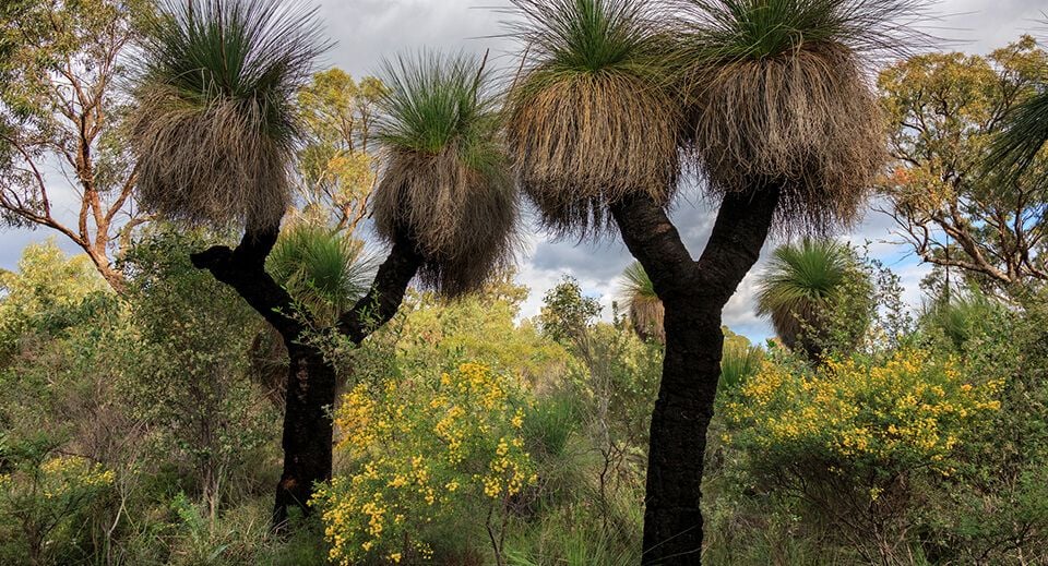 Environmental impact assessments