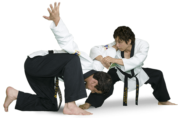 Is hapkido considered a deals soft or hard style