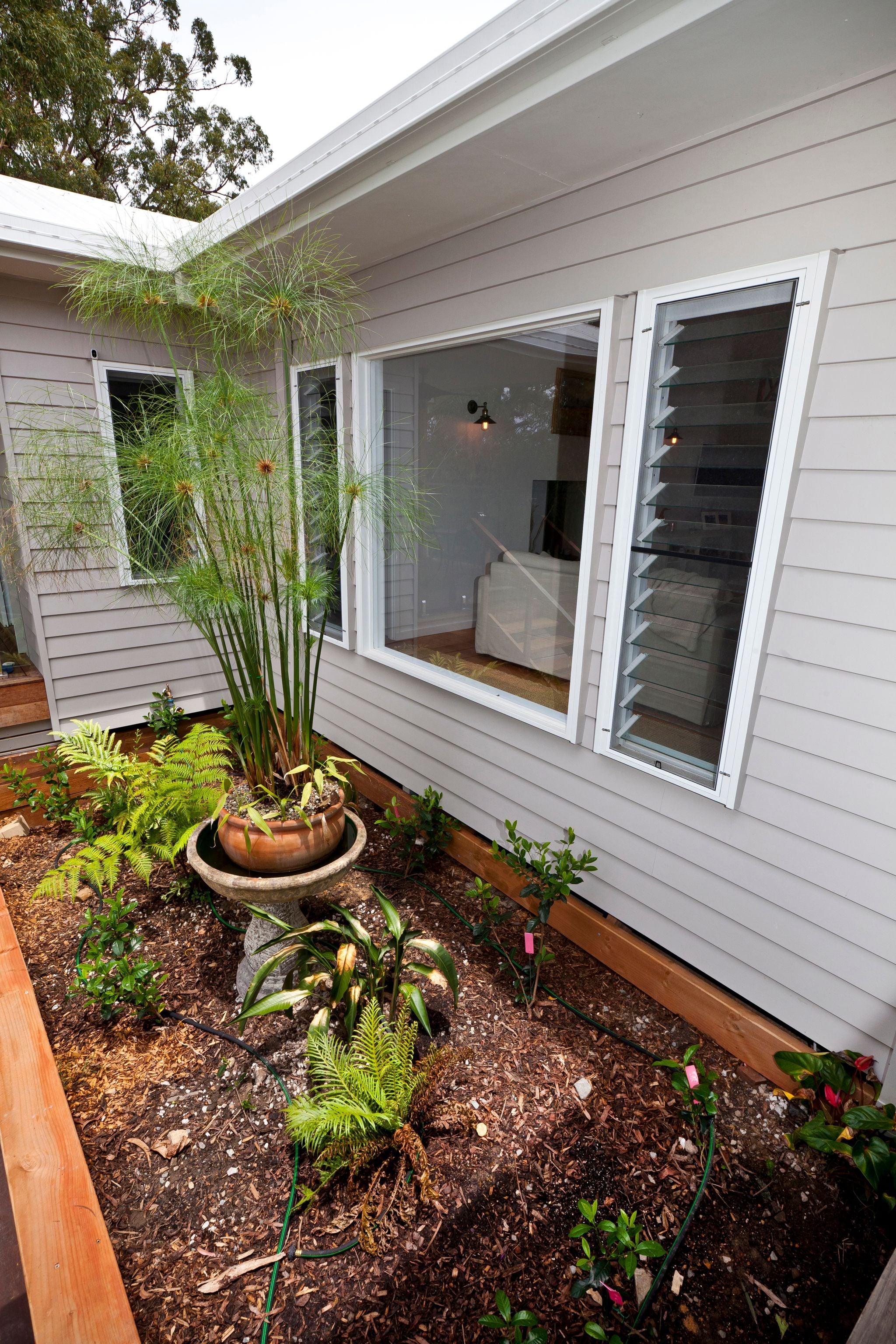 Clagiraba Image -5a03ac37b5dc2