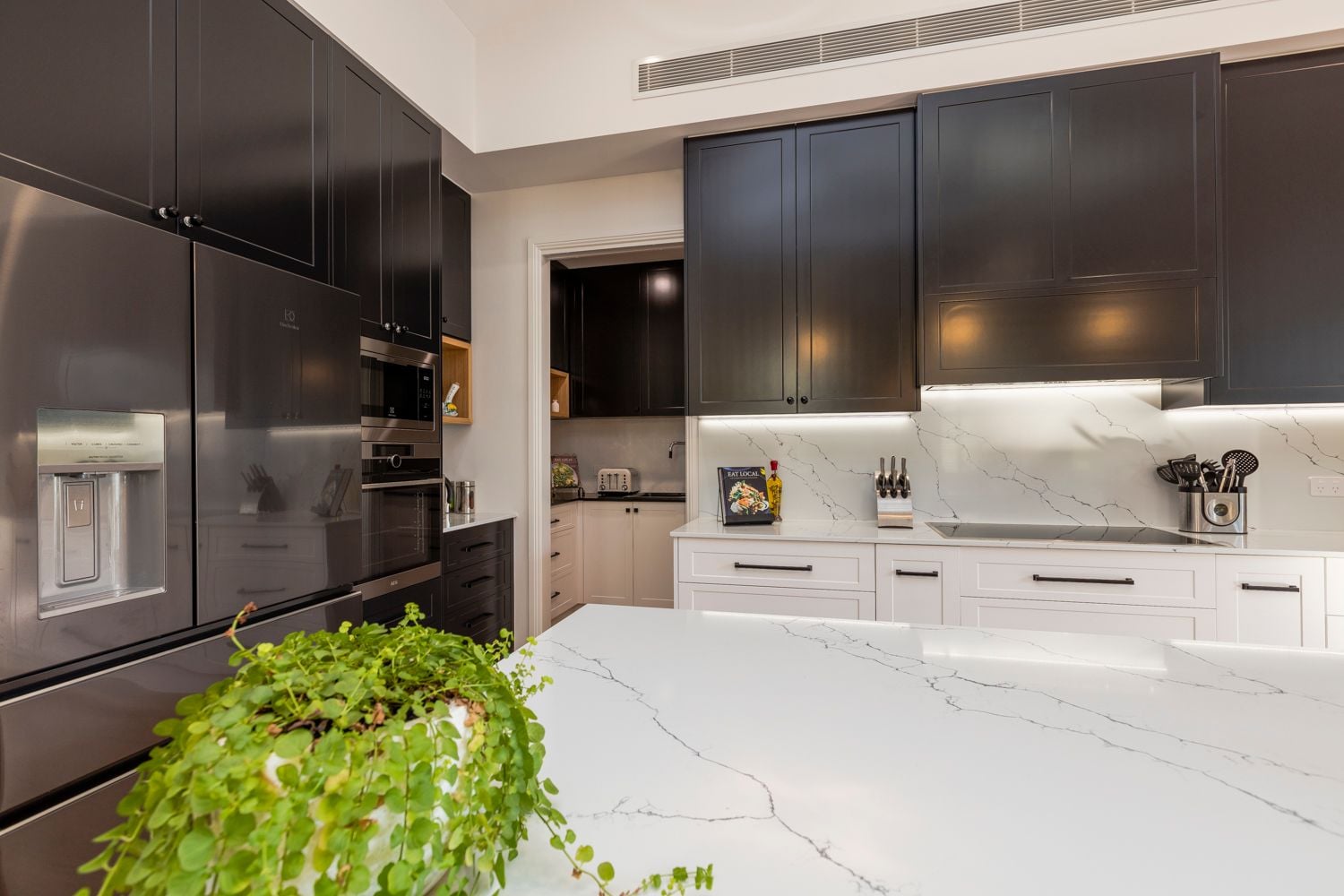 Tamborine Mountain Image -5cca9c9156c52