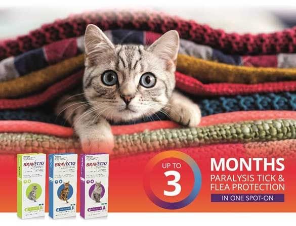 Best flea and clearance tick for cats 2018