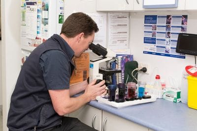 Terrigal Vet can perform an array of diagnostic tests that help us care for your pet