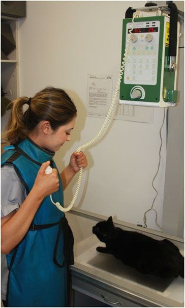 Terrigal Vet has a CR 35 VET digital processor allowing x-ray images to be ready in minutes which does not dealy treatment