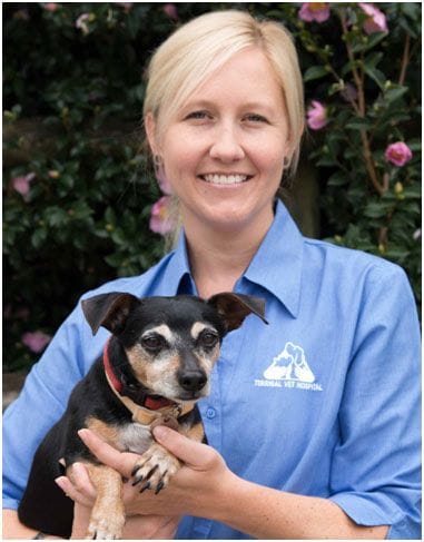 Meet Tracey, a Veterinary Nurse of Terrigal Vet