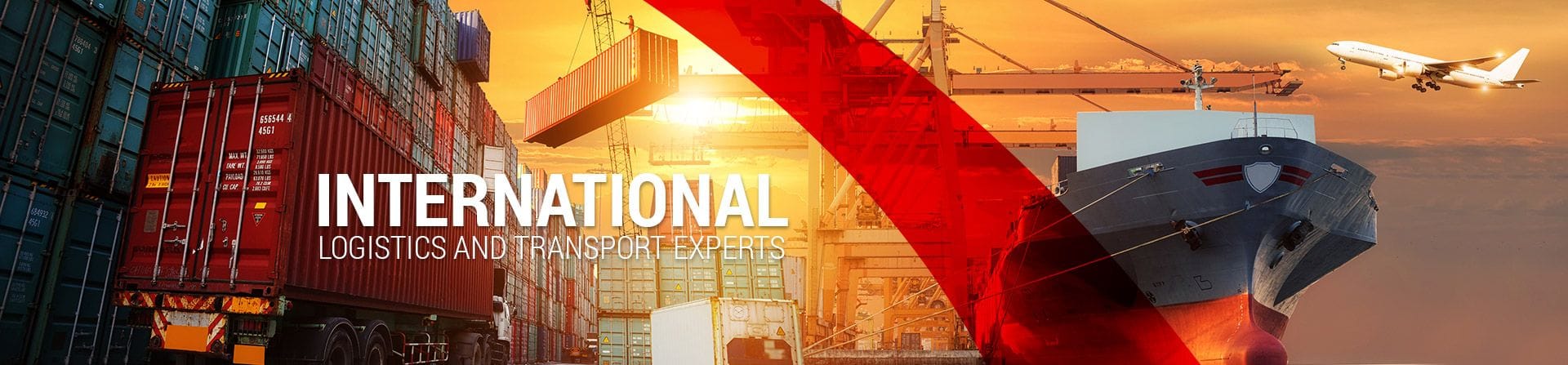 Scorpion International International Logistics and Transport Experts