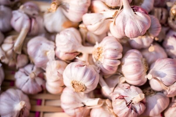 Garlic is antimicrobial and supports immune function