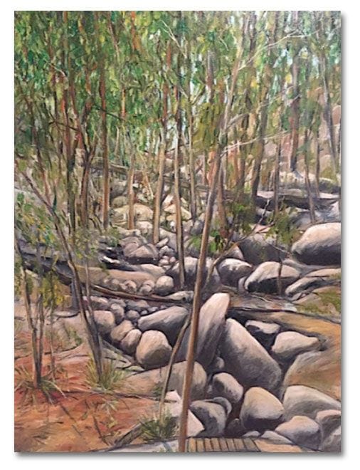 Rocks in the rainforest valley, Noosa Camino reflection site 8