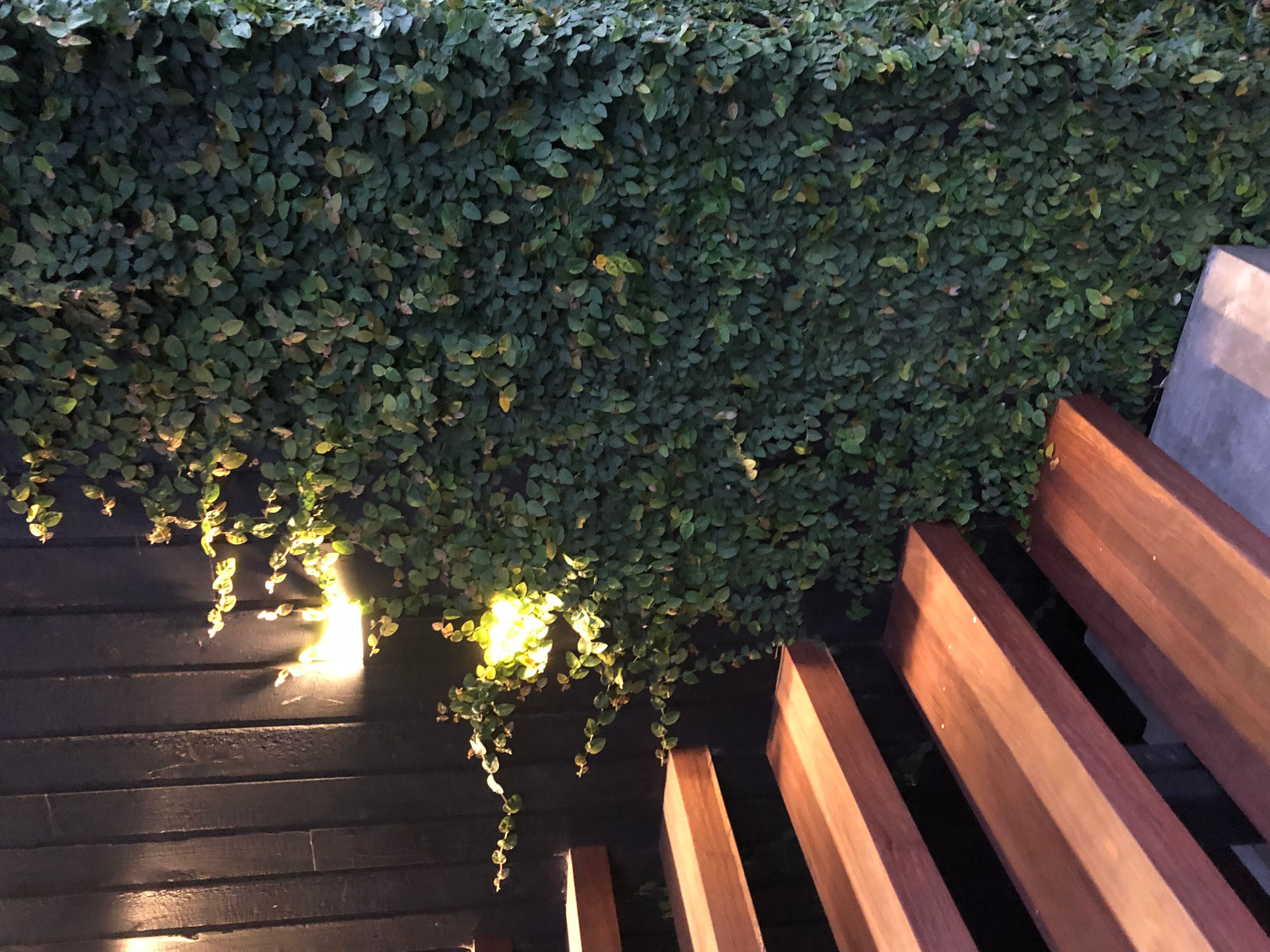 8 Warri Way Image -620c58f7cda20