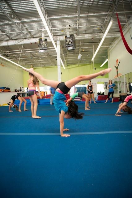 Dance Trix Gallery Image -5abbed0bce8a5