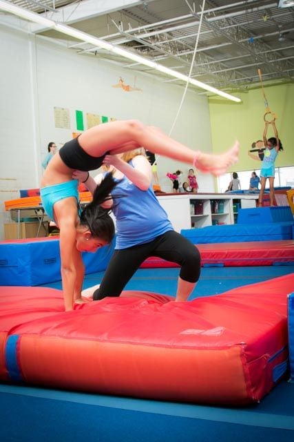 Dance Trix Gallery Image -5abbed0e2aae1