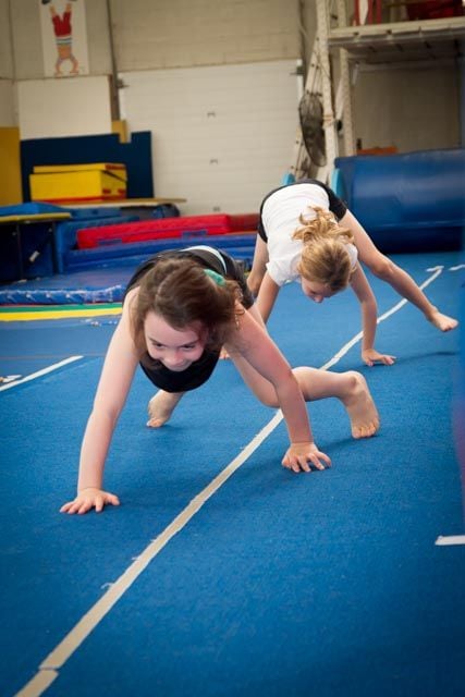 Trix Acro Gym Image -5abbf4bfbc779