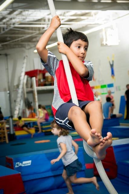 Trix Acro Gym Image -5abbf4cf99124