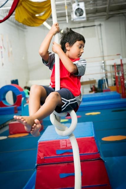 Trix Acro Gym Image -5abbf4d06d082