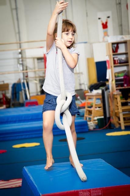 Trix Acro Gym Image -5abbf4d2559d3
