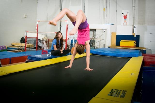 Trix Acro Gym Image -5abbf4d4eda41