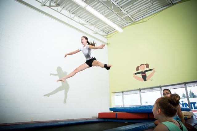 Trix Acro Gym Image -5abbf4f4f1291