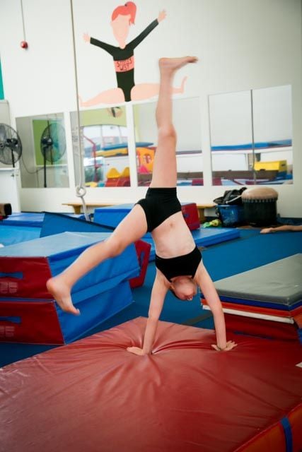 Trix Acro Gym Image -5abbf4f8ec29f