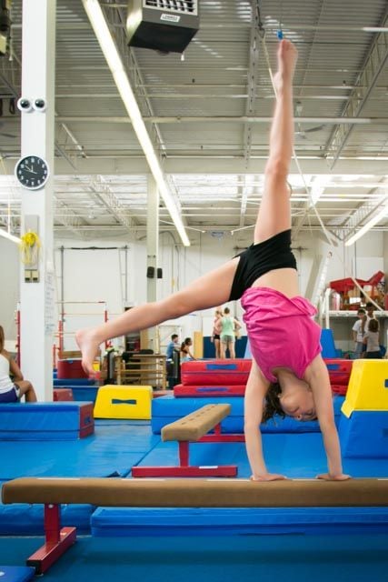 Trix Acro Gym Image -5abbf503420b9