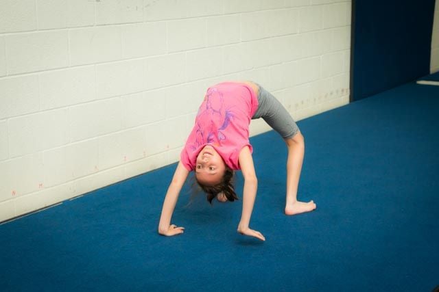 Trix Acro Gym Image -5abbf5067a34b