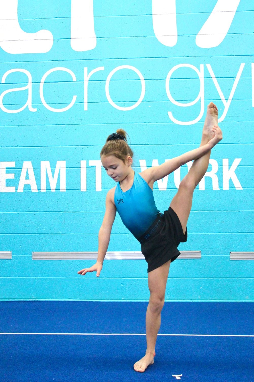 Trix Apparel Image -65d8d21f74257