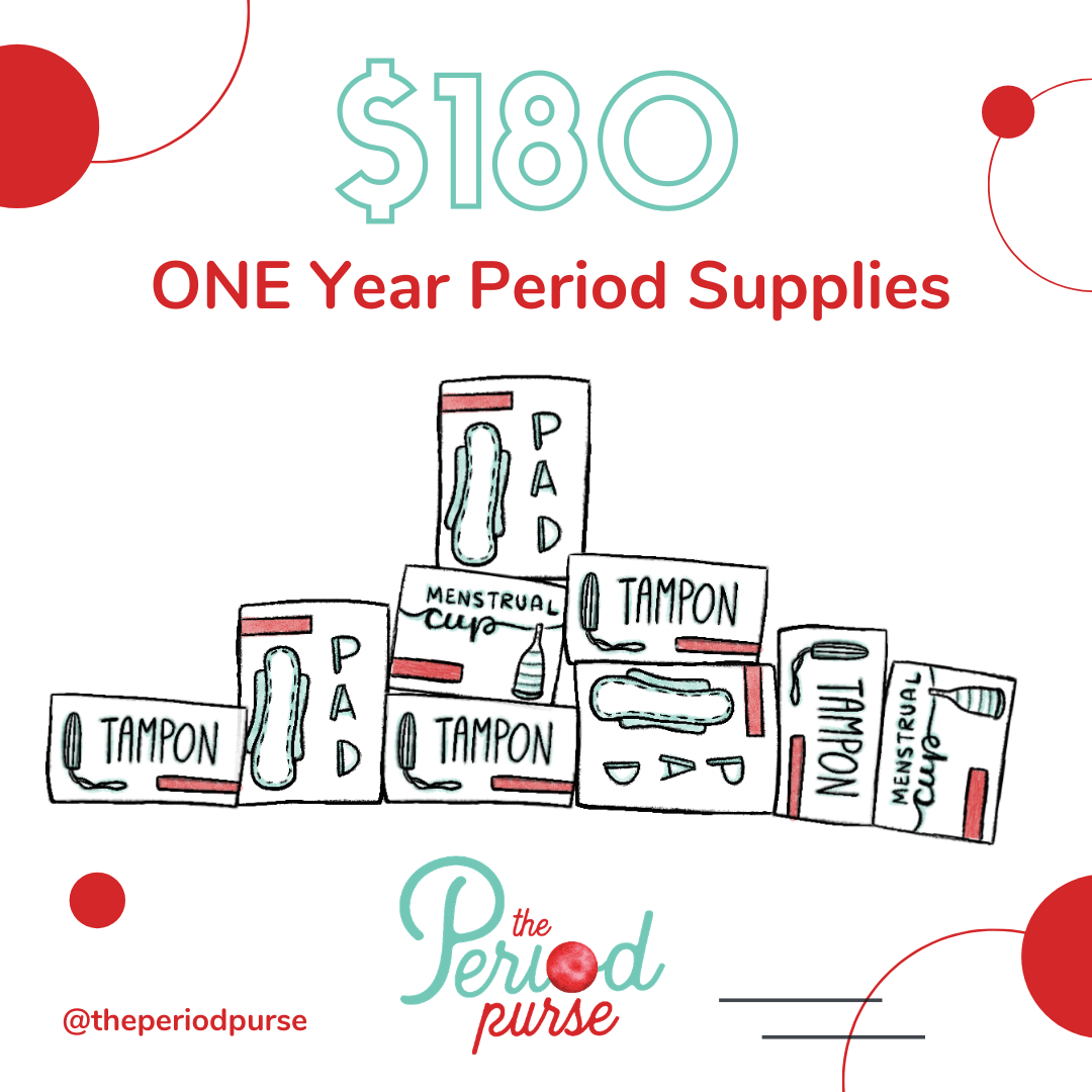 Period Presents | The Period Purse | 1 year period supplies
