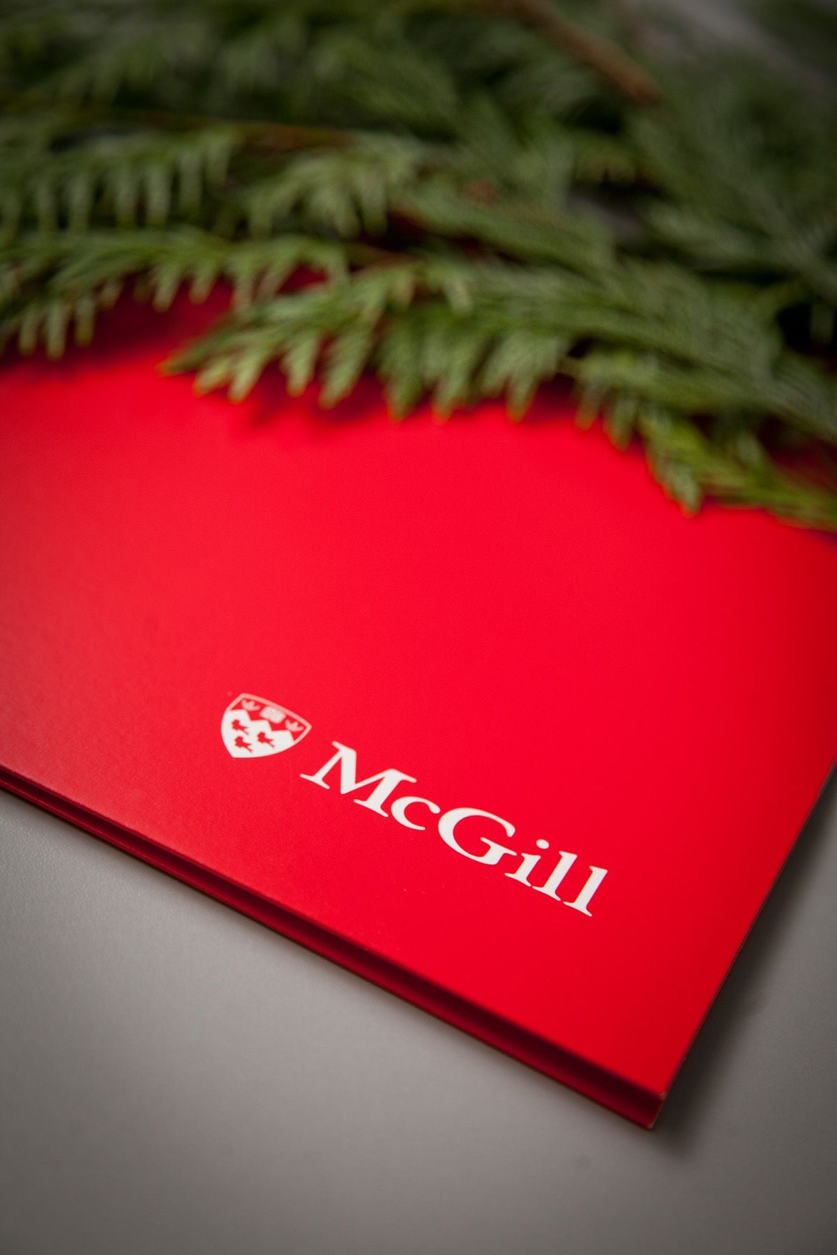 ELSCD 2017 - Closing Image -5ab561c795d8f