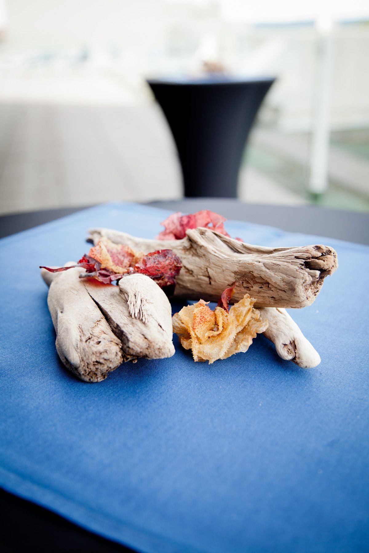 ELSCD 2017 - Closing Image -5ab562bd0e1b3