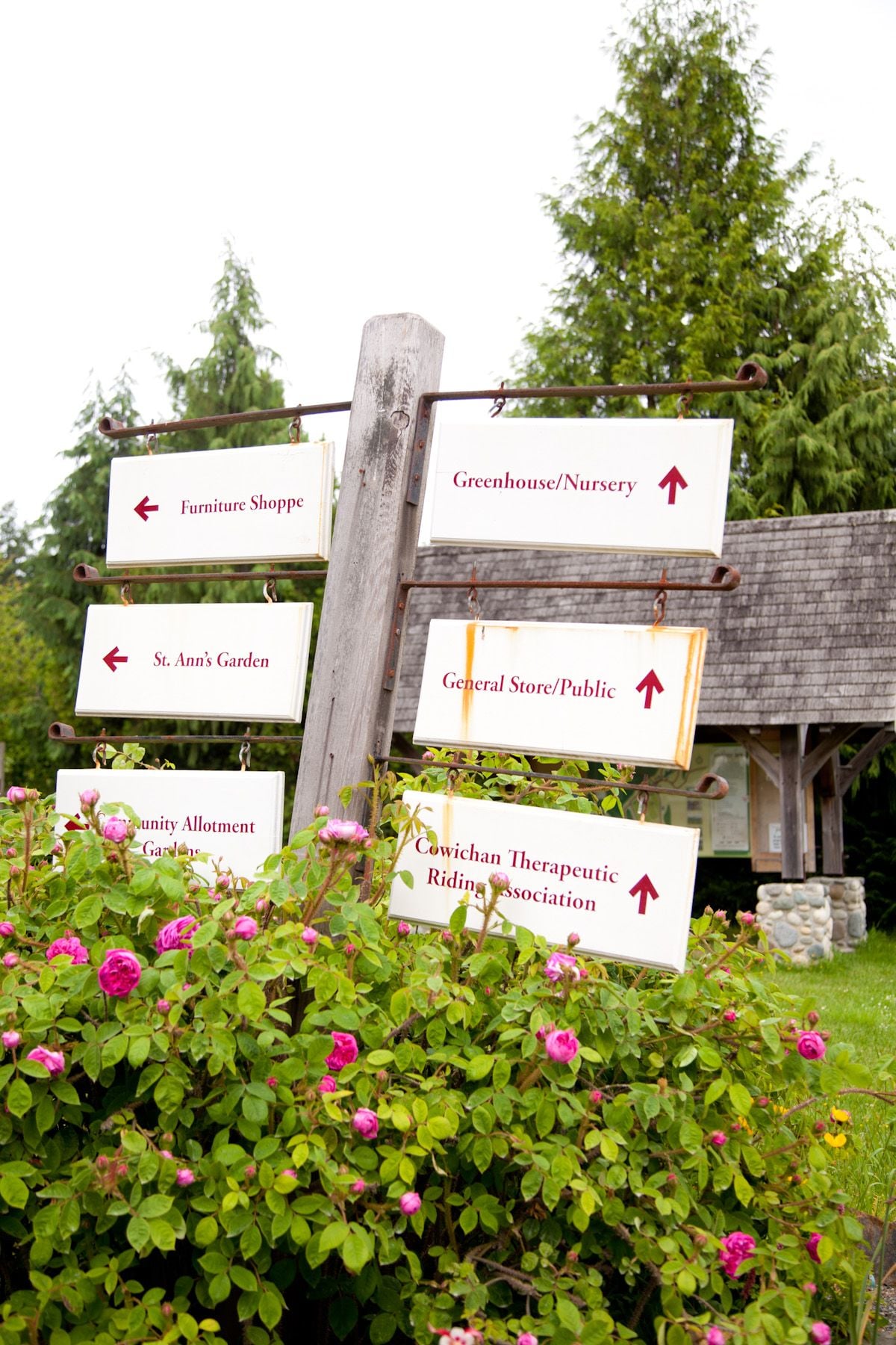 ELSCD 2017 - Tour Visits Group 3 - Day 3 Image -5ad4eab85b196