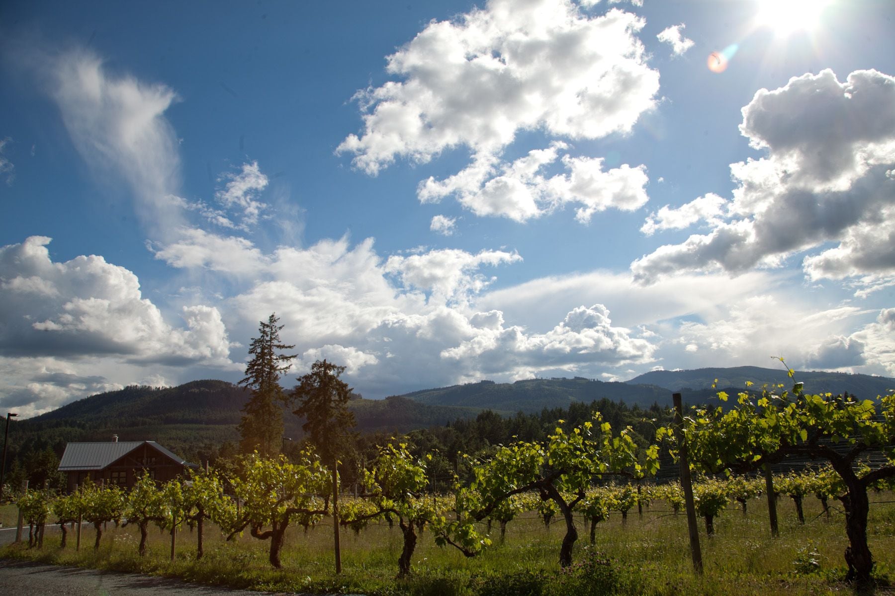 ELSCD 2017 - Tour Visits Group 3 - Day 3 Image -5ad4eac60cc80