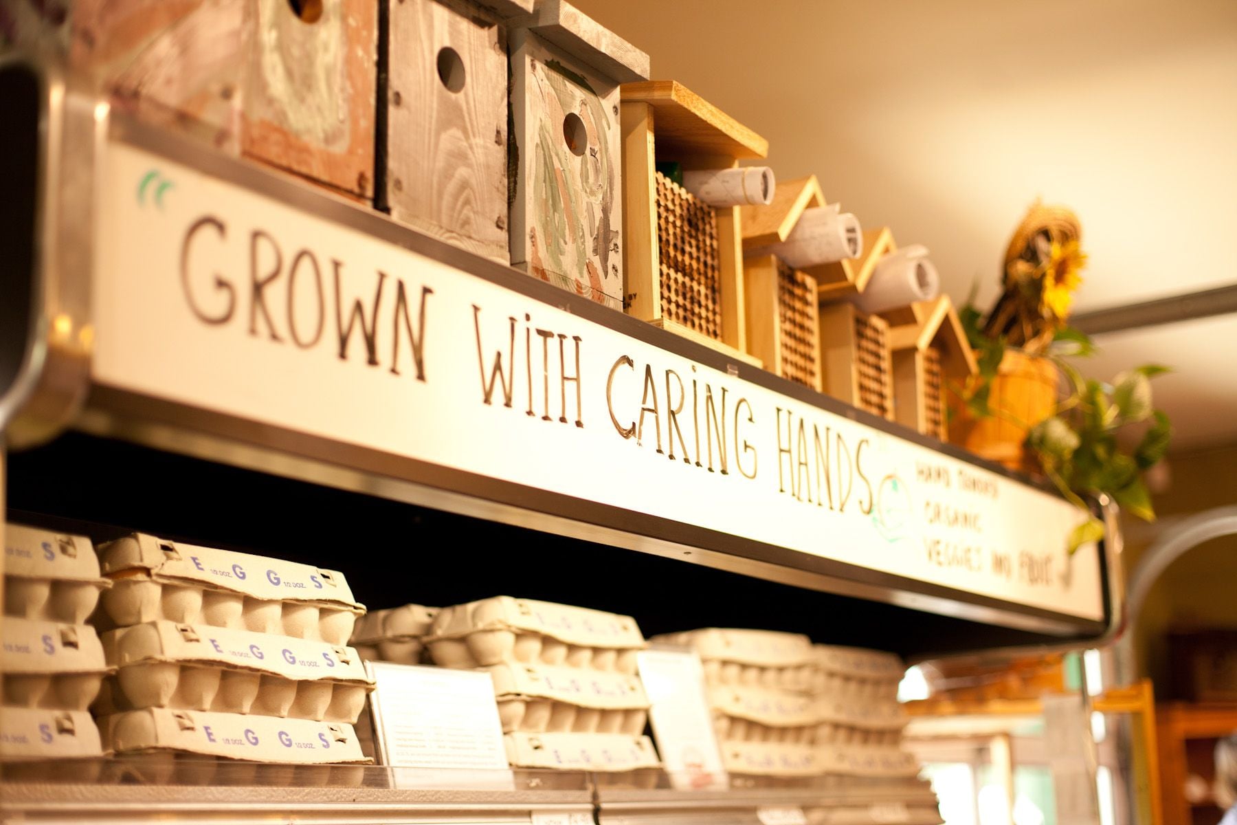 ELSCD 2017 - Tour Visits Group 3 - Day 3 Image -5ad4eadf68595