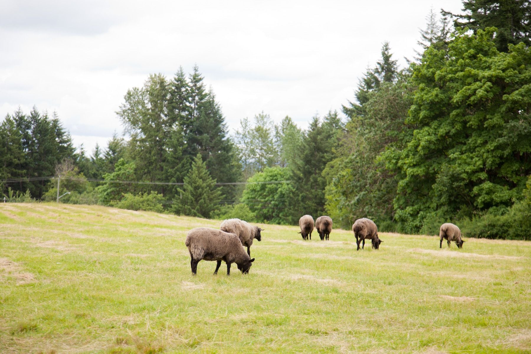 ELSCD 2017 - Tour Visits Group 3 - Day 3 Image -5ad4eae559093
