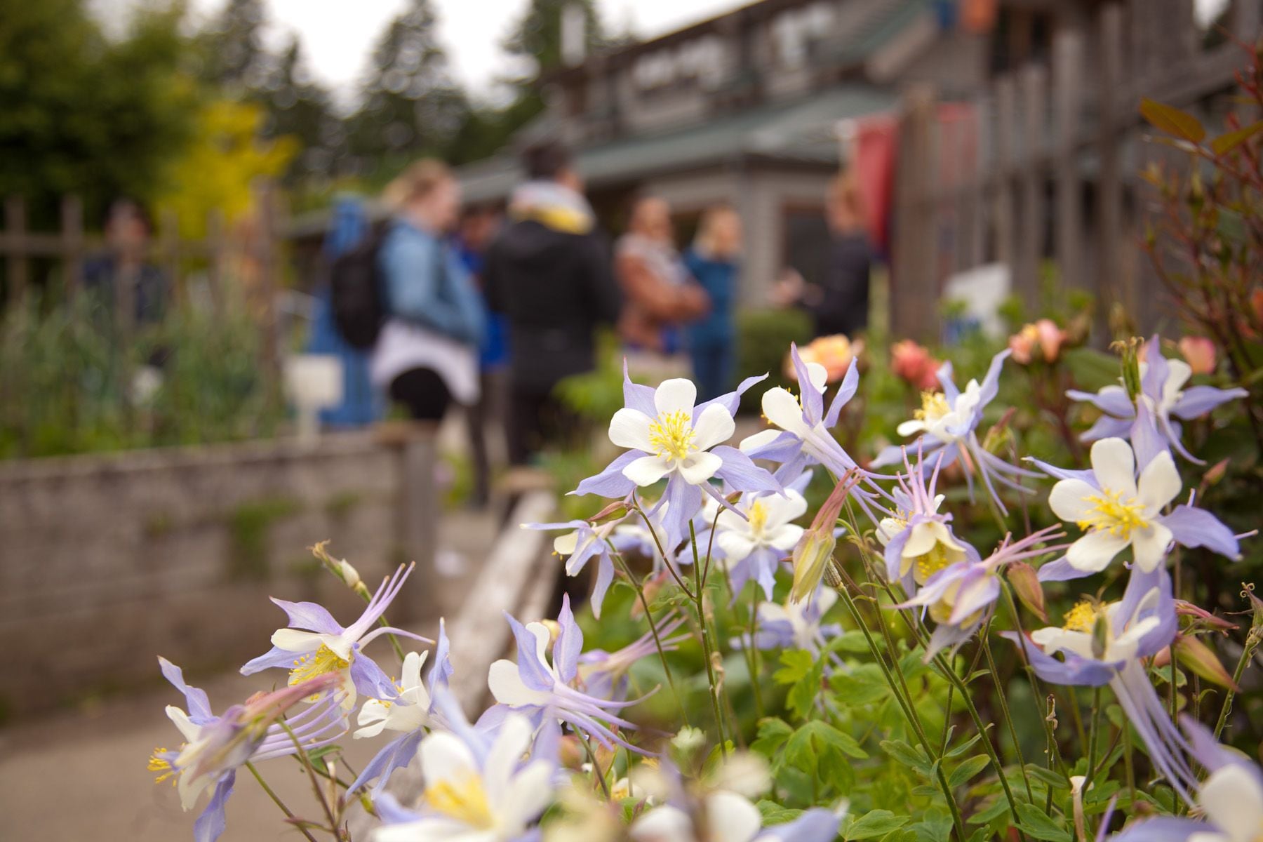 ELSCD 2017 - Tour Visits Group 3 - Day 3 Image -5ad4eae89d562