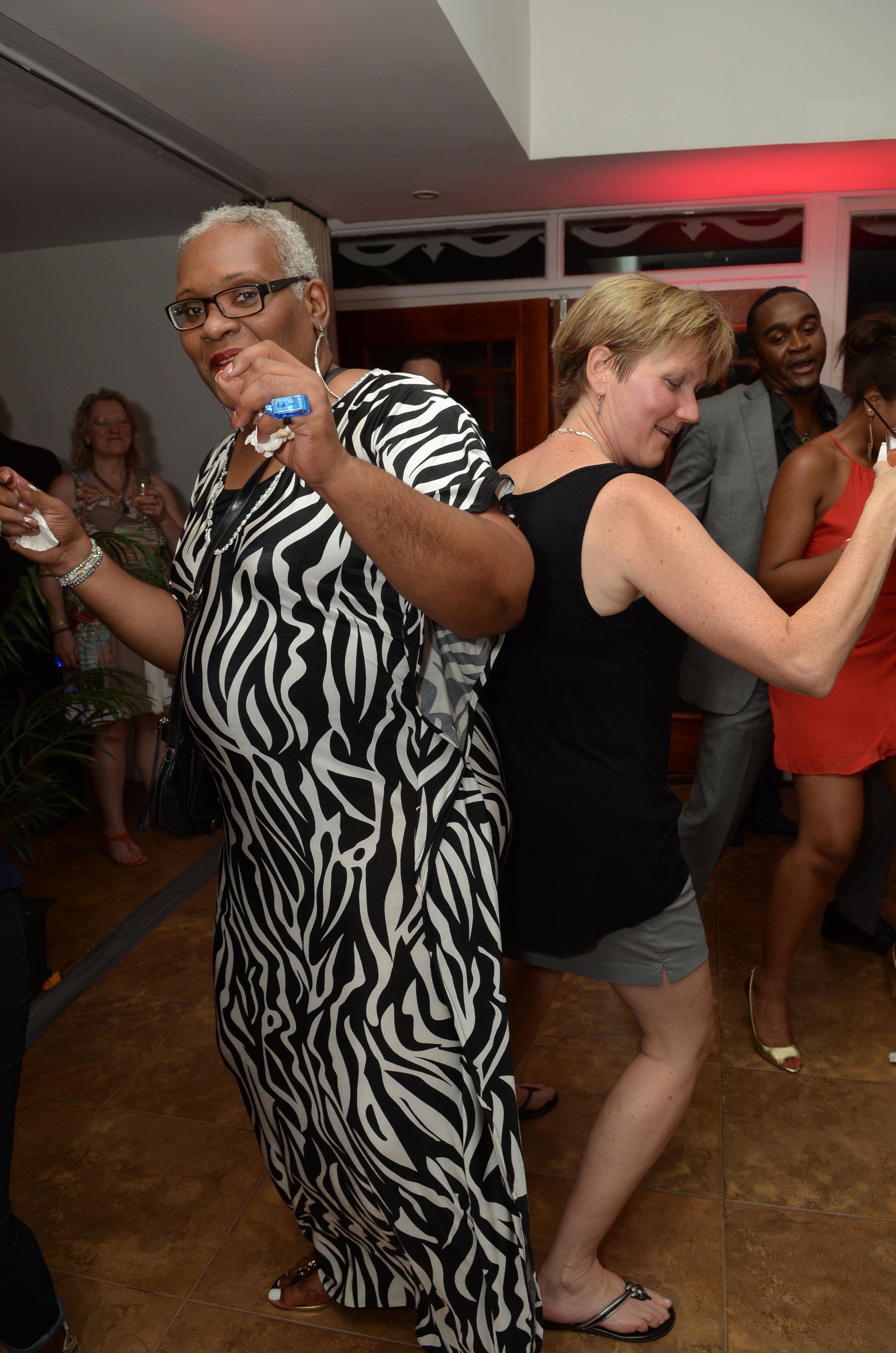 CCELD 2015 Closing Party Image -5ad511d93a03b