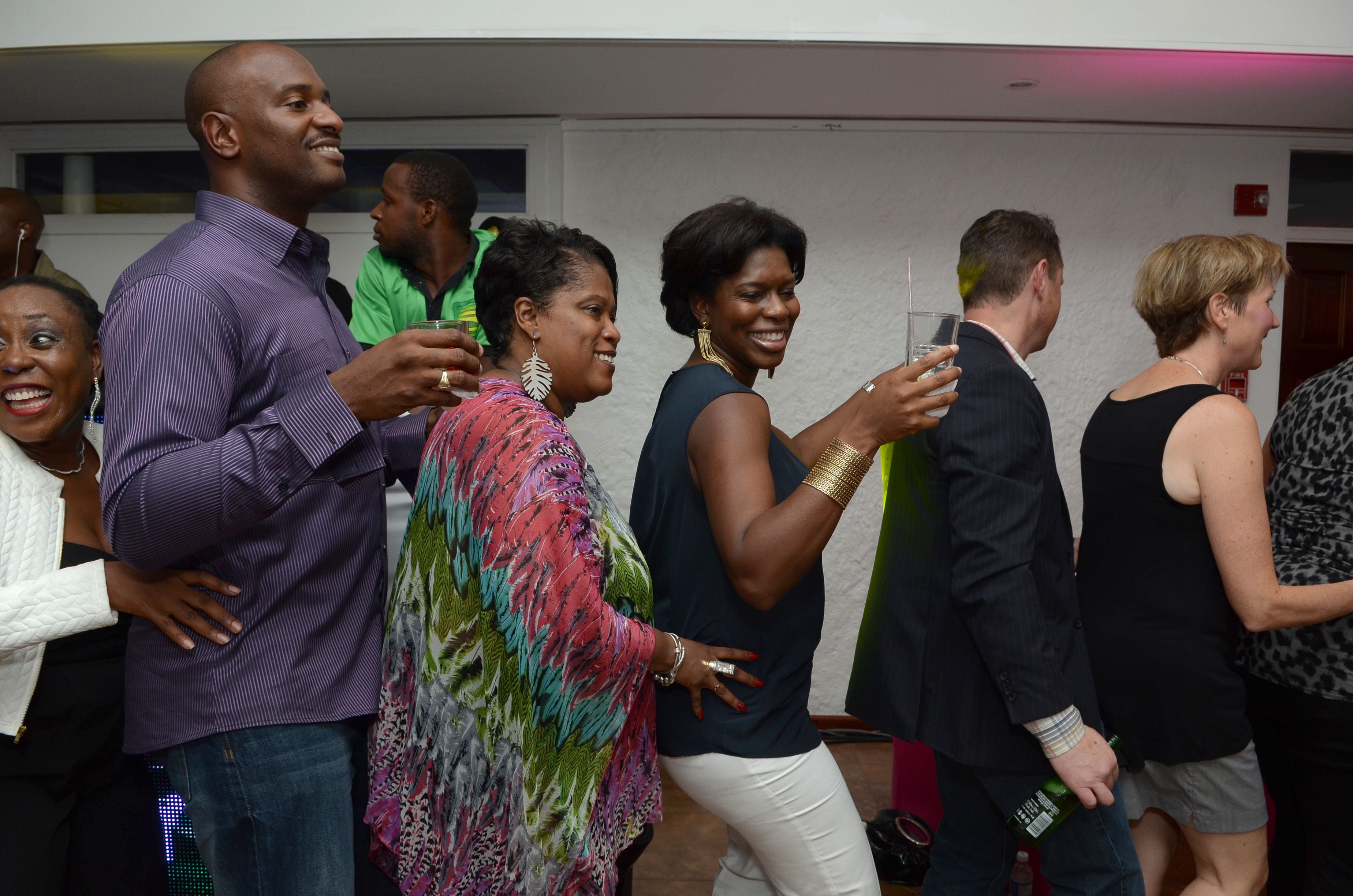 CCELD 2015 Closing Party Image -5ad512d8d5624